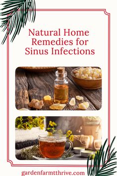 Are you interested in home remedies for sinus infections? If you're looking for natural home remedies for sinus infections then you are in the right place! There are several ways that you can treat sinus infections at home! Treat Sinus Infection, Treat Sinus Infection Naturally, Home Remedies For Sinus Infection, Essential Oil Cold Remedy, Natural Sinus Remedies, Sinus Infection Relief, Natural Healing Herbs, Home Remedies For Sinus, Homesteading Life