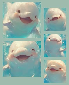 four pictures of a smiling dolphin in the water