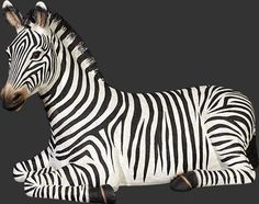 a zebra laying down on the ground with it's head turned to the side