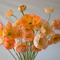 an arrangement of orange and pink flowers in a vase