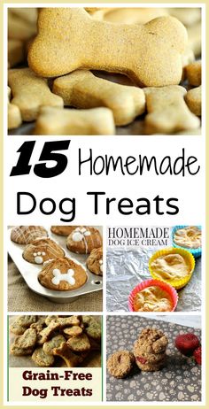 homemade dog treats with the title overlay