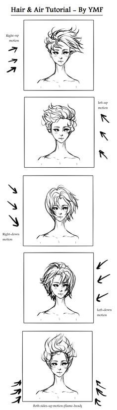 the stages of hair and how to do it in this drawing lesson, you can see different