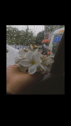 a person's hand holding a white flower in the rain