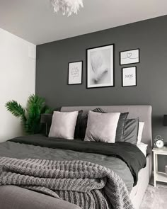 a bedroom with grey walls and pictures on the wall above the bed, along with a plant