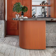 a kitchen with orange cabinets and a plant in the middle of the counter top area