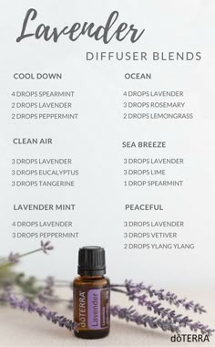 Lavender Essential Oil Uses, Lilin Aroma, Simmer Pots