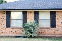 a small tree in front of a brick house