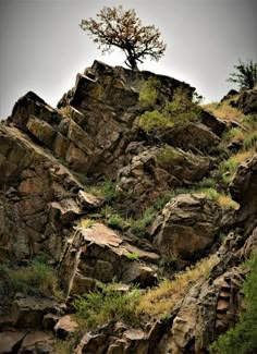 a lone tree sitting on top of a rocky hill