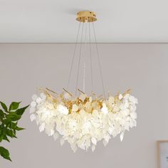 a chandelier hanging from the ceiling in a room with white walls and green plants