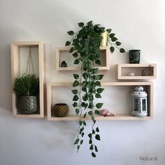 three wooden shelves with plants and other items on them, one is hanging from the wall