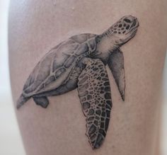 a black and white photo of a turtle tattoo on the thigh, with its head turned to the side