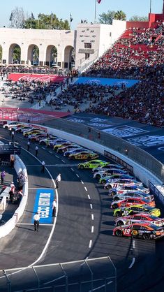 the cars are lined up on the race track in front of an audience at a sporting event