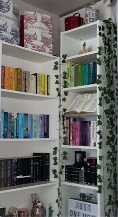 the bookshelves are filled with many different types of books and plants on them