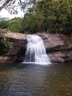 a large waterfall in the middle of a forest