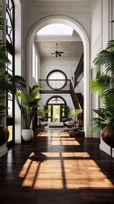 the sun shines through an arched doorway into a living room with wood floors and large potted plants