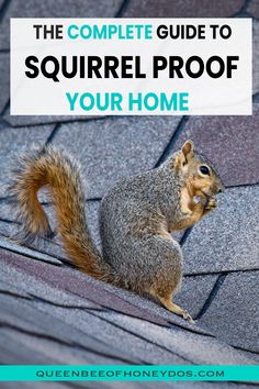 a squirrel sitting on top of a roof with text overlay reading the complete guide to squirrel proof your home