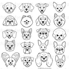 the different types of dogs that can be seen in this drawing technique, including one dog's face