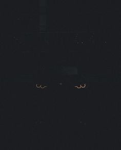 two eyes are seen in the dark at night