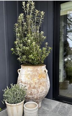 two pots with plants in them sitting on the ground