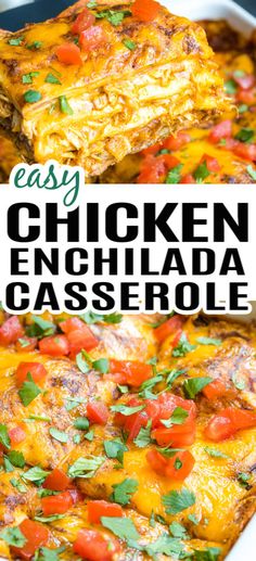 A baking dish with chicken enchilada casserole in a baking dish, topped with cilantro and tomatoes. Green Chili Chicken Enchilada Casserole, Easy Enchilada Casserole, Easy Chicken Enchilada Casserole, Enchiladas Easy, Easy Chicken Enchiladas, Chicken Enchilada Casserole Recipe, Green Chili Chicken, Enchilada Casserole Recipes