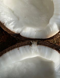 two halves of coconuts sitting next to each other