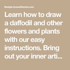 the words learn how to draw daffodil and other flowers and plants with our easy instructions bring out your inner art