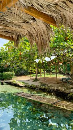 an outdoor area with water and grass umbrellas