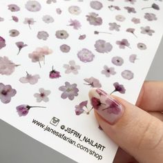 Pressed Cherry Blossom Sakura Flowers Design Water Slide Nail Decals/Nail Tattoos/Nail Stickers Nails Art Flowers, Nails With Stickers, Nail Art Flowers Designs, Nail Tattoos, Image Nails, Sakura Flowers, Nail Tattoo, Colorful Nail Designs