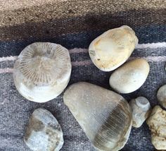 several different types of rocks on a rug