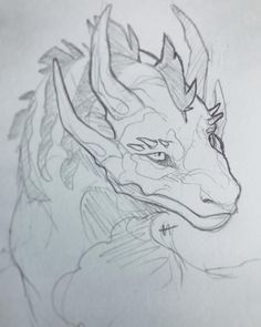 a pencil drawing of a dragon head