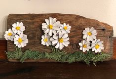 some white and yellow flowers are in the grass on a piece of wood with moss