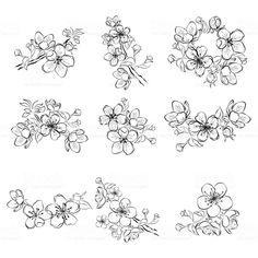 an image of flowers drawn in black and white