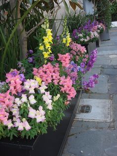 many different colored flowers in black planters on the side of a building with stone walkway