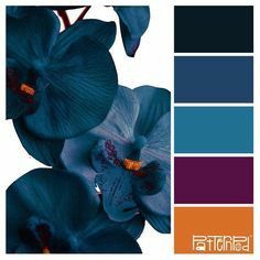 blue orchids with orange and purple colors in the background are featured on this color palette