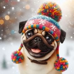 a small pug dog wearing a colorful hat with pompoms on it's head