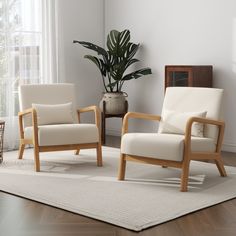 a living room with two chairs and a potted plant in the corner on the rug