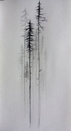 some trees that are standing in the snow