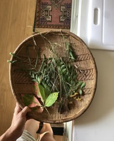 a person holding a basket with plants in it on top of a wooden table next to a rug