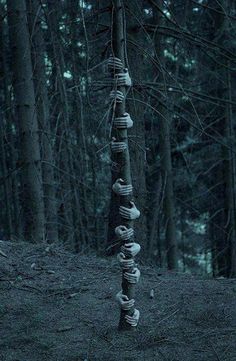 there is a very tall tree made out of donuts in the woods with no leaves on it