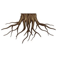 an illustration of a tree root with very long, brown roots on it's sides