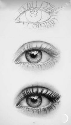 three different types of eyes are shown in this drawing