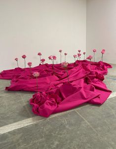 several pink flowers are placed on the ground in front of a white wall and floor