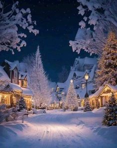 a snow covered street with christmas trees and lights in the night time, surrounded by evergreens