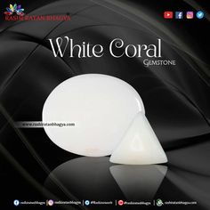 White Coral Gemstone