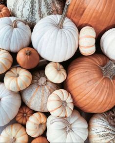 pumpkins and gourds are piled up together