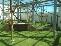 the inside of a building that has a wooden structure with ladders in it and grass on the ground