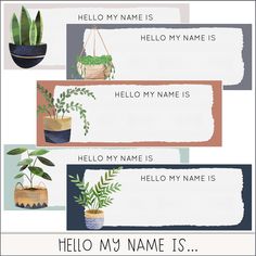 some plants that are in pots with the name hello my name is written on them