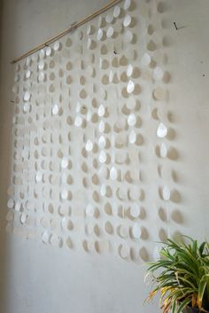 a white wall with circles on it next to a potted plant