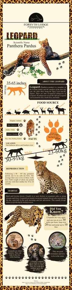 a poster with different types of animals and their names on it's side, including the