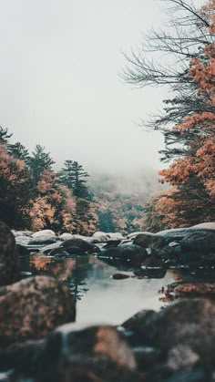 a river surrounded by rocks and trees in the foggy day with water running through it